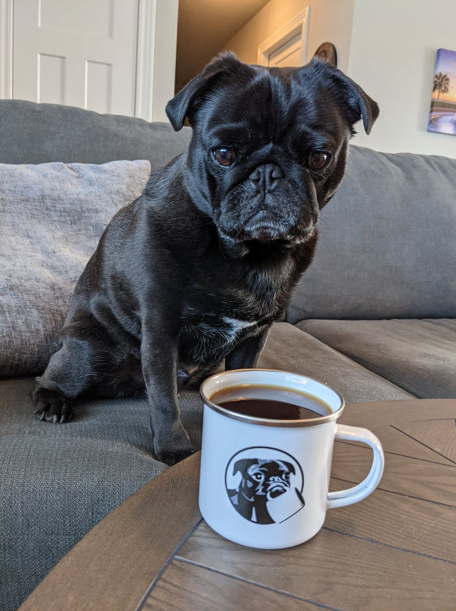 Pugs in cups hotsell